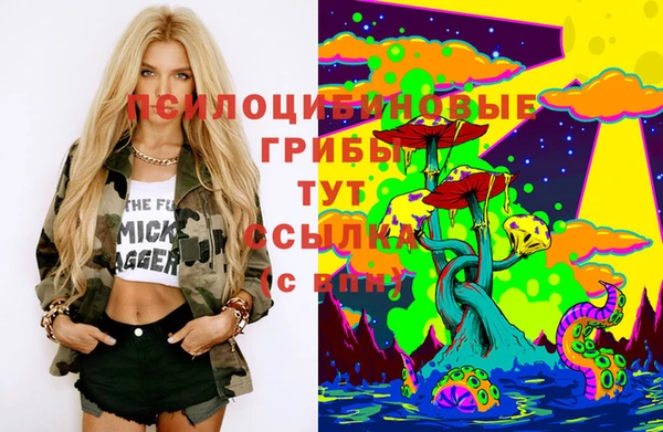 прущая мука Верея